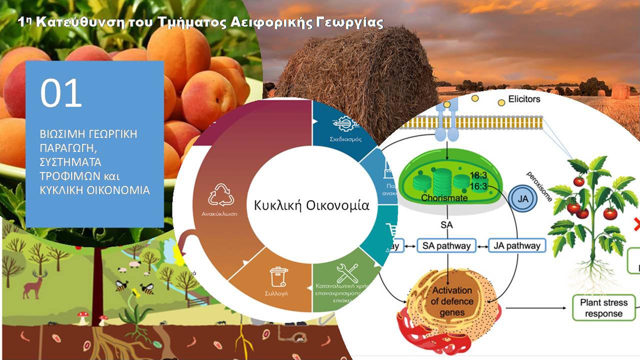 Κατεύθυνση 1 - Βιώσιμη γεωργική παραγωγή, συστήματα τροφίμων και κυκλική οικονομία